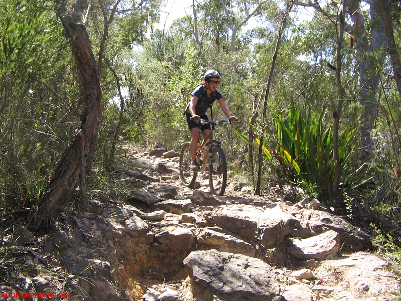 20080921-Mooney 110.jpg